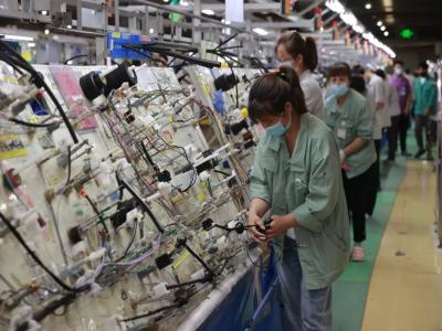 What Is Wire Harness Loom Production Process In A Car